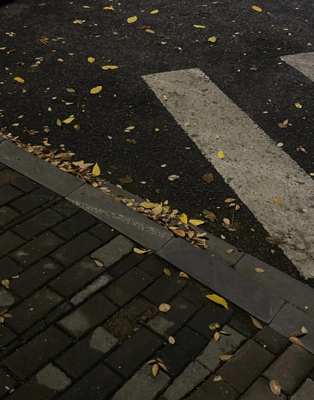 在这片清新的街道上分享这份清新与宁静美景，早安 ​​​
