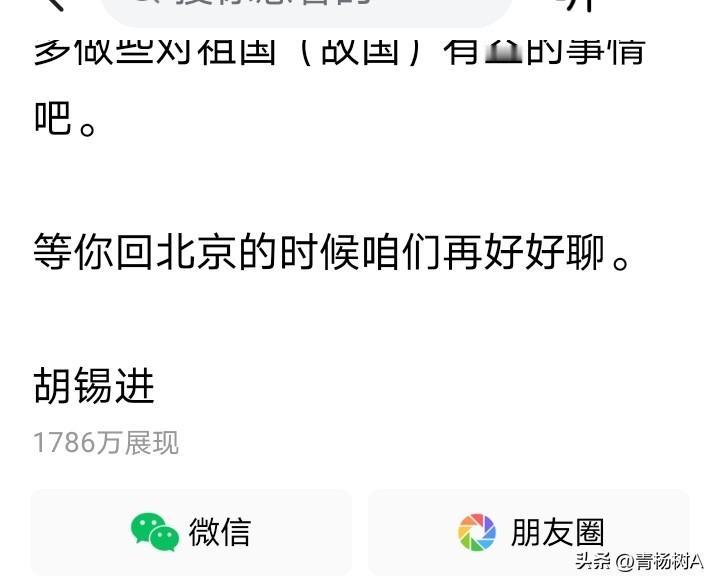左勾拳，右勾拳，最后将了孙宇晨一军。

老胡回复孙宇晨看似客客气气，其实刀刀刺其