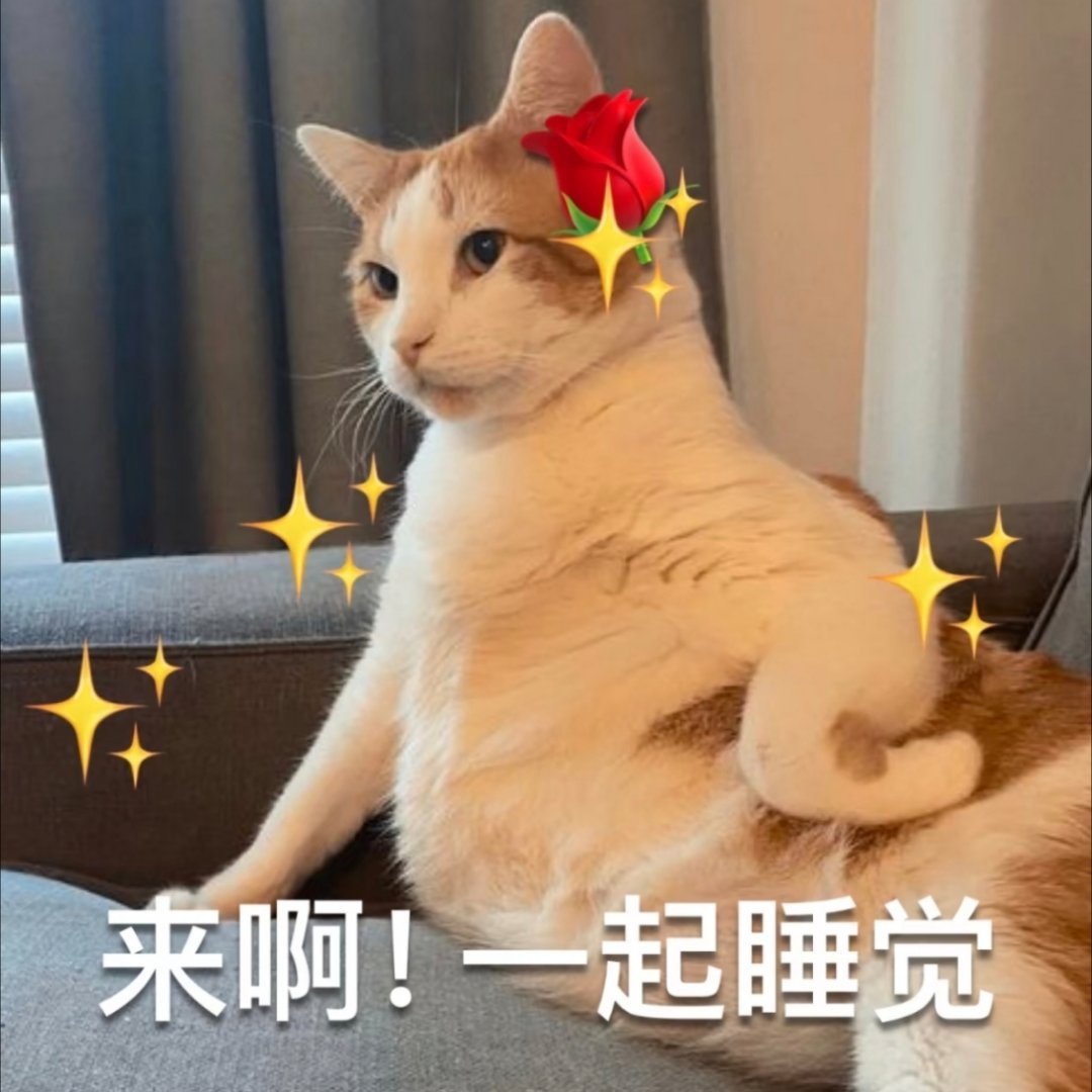 啊哈 晚安 