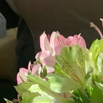 0000【水仙花种植攻略】想在家养一盆清香雅致的水仙花，其实很简单，跟着下面的步