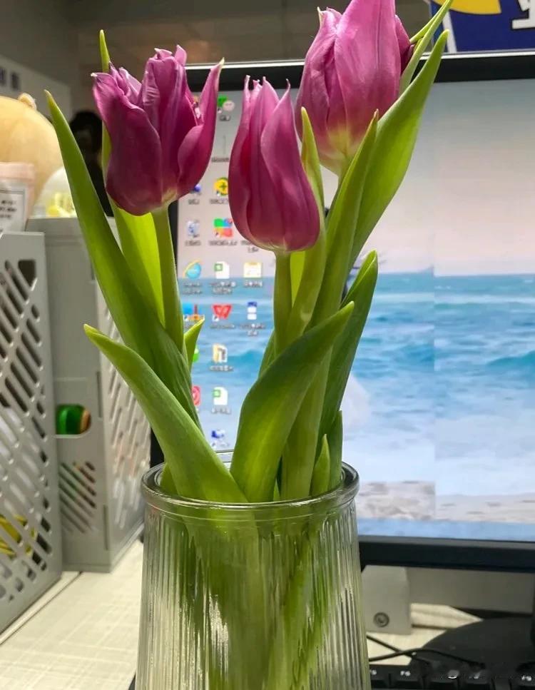 相比于从面试面谈一个多钟头，面试官和你沟通特别愉悦顺畅等表象来看，有这两点表现显