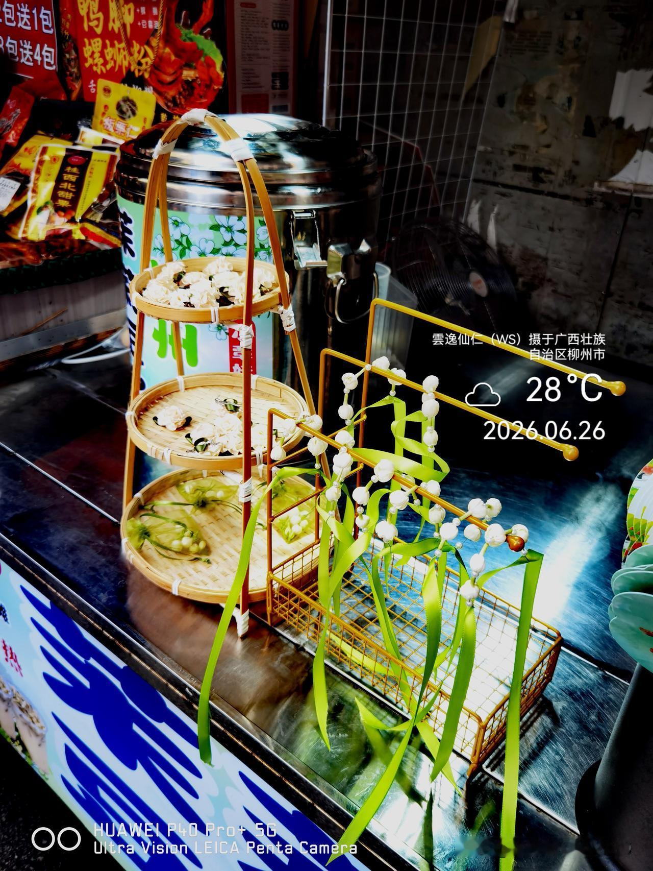 月居生活记录（10112）广西壮族自治区柳州市（149）花儿随拍17：鲜茉莉花串