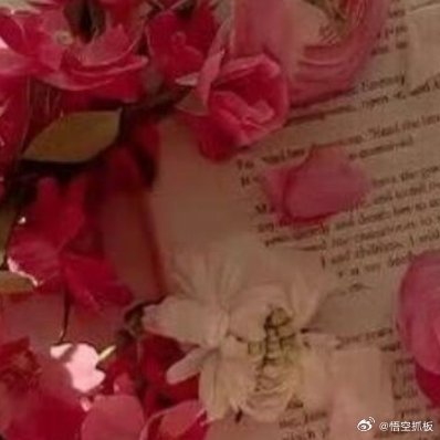 每日一善善待别人，是一种优秀的品德，善待自己，是一种优雅的力量。顺境时，想着去善