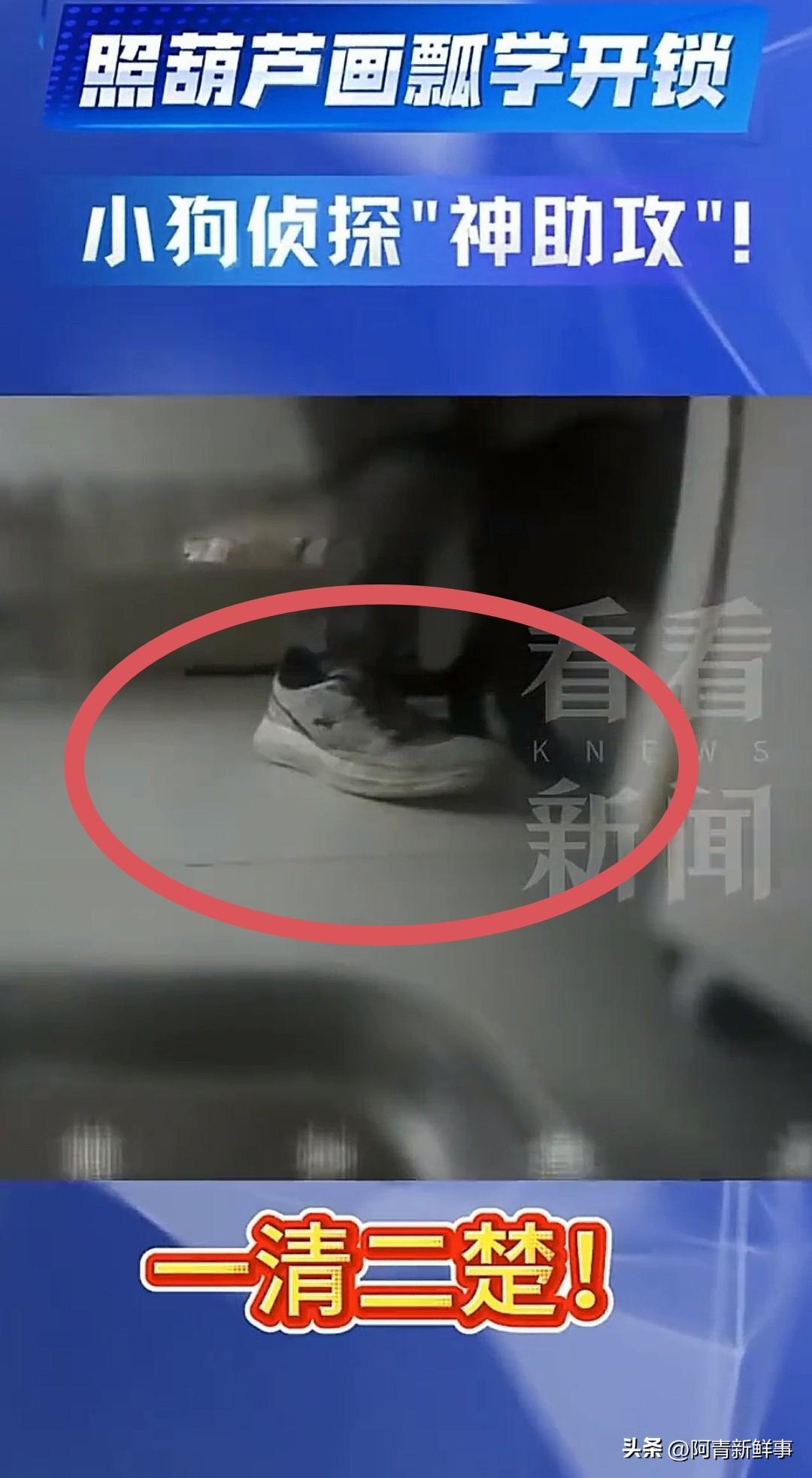 上海浦东，发生一起颇具戏剧性的盗窃案，一男子光脚入室，自以为天衣无缝，家中监控画