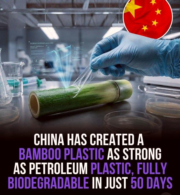 被美国列为入侵物种禁止种植的竹子正在帮中国打造未来！

利用竹子研发出的竹基塑料