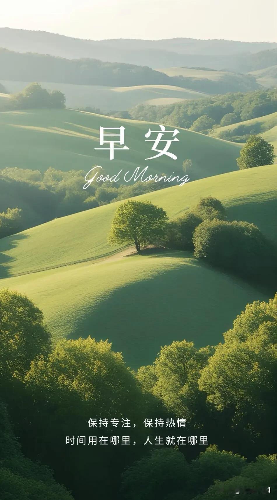 春日早安，愿阳光洒满前路，烦恼随风吹散，日子温柔，事事皆甜。