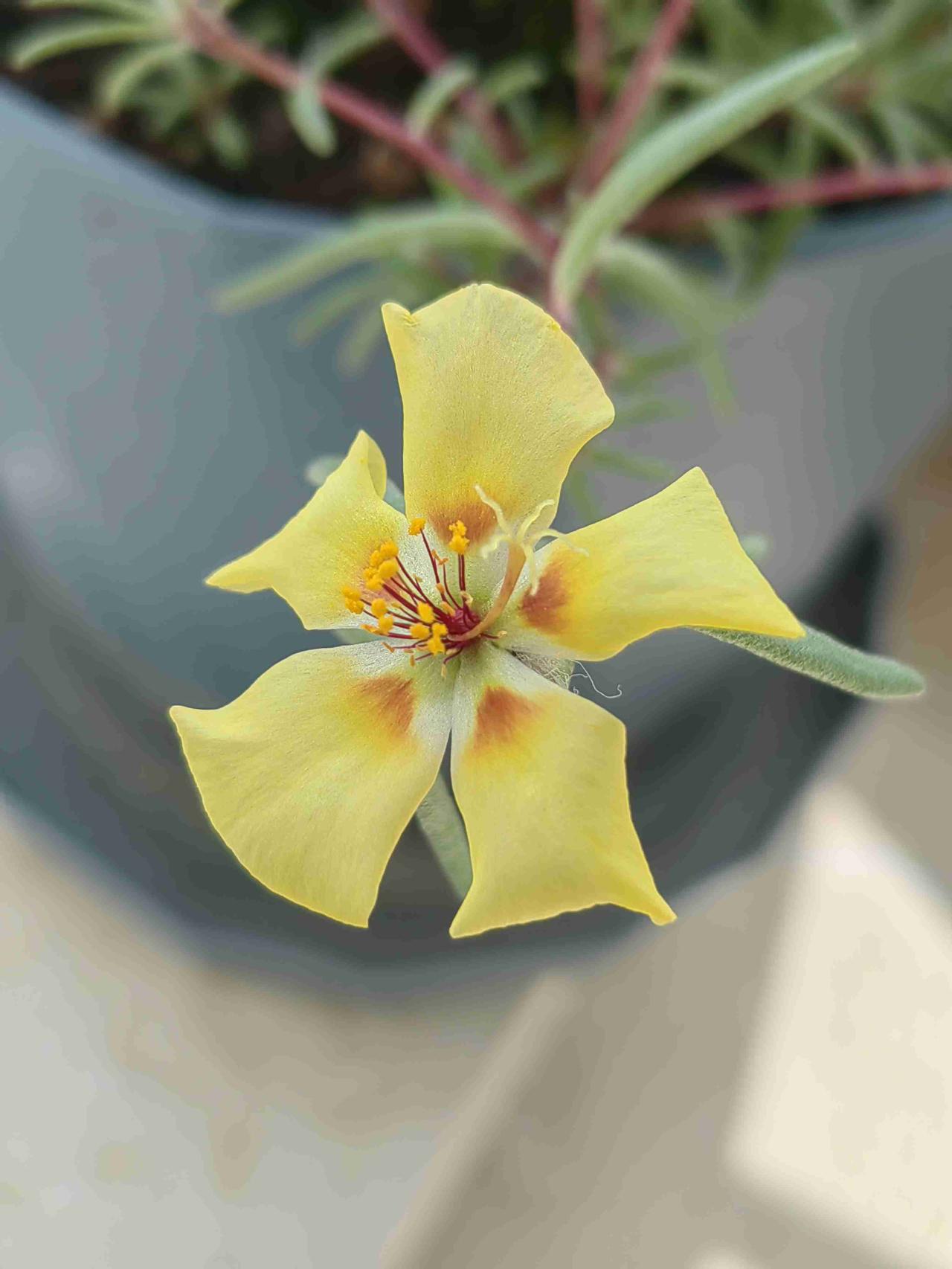 我的今日状态：😁轻松愉快
我这里的天气：☀️晴天