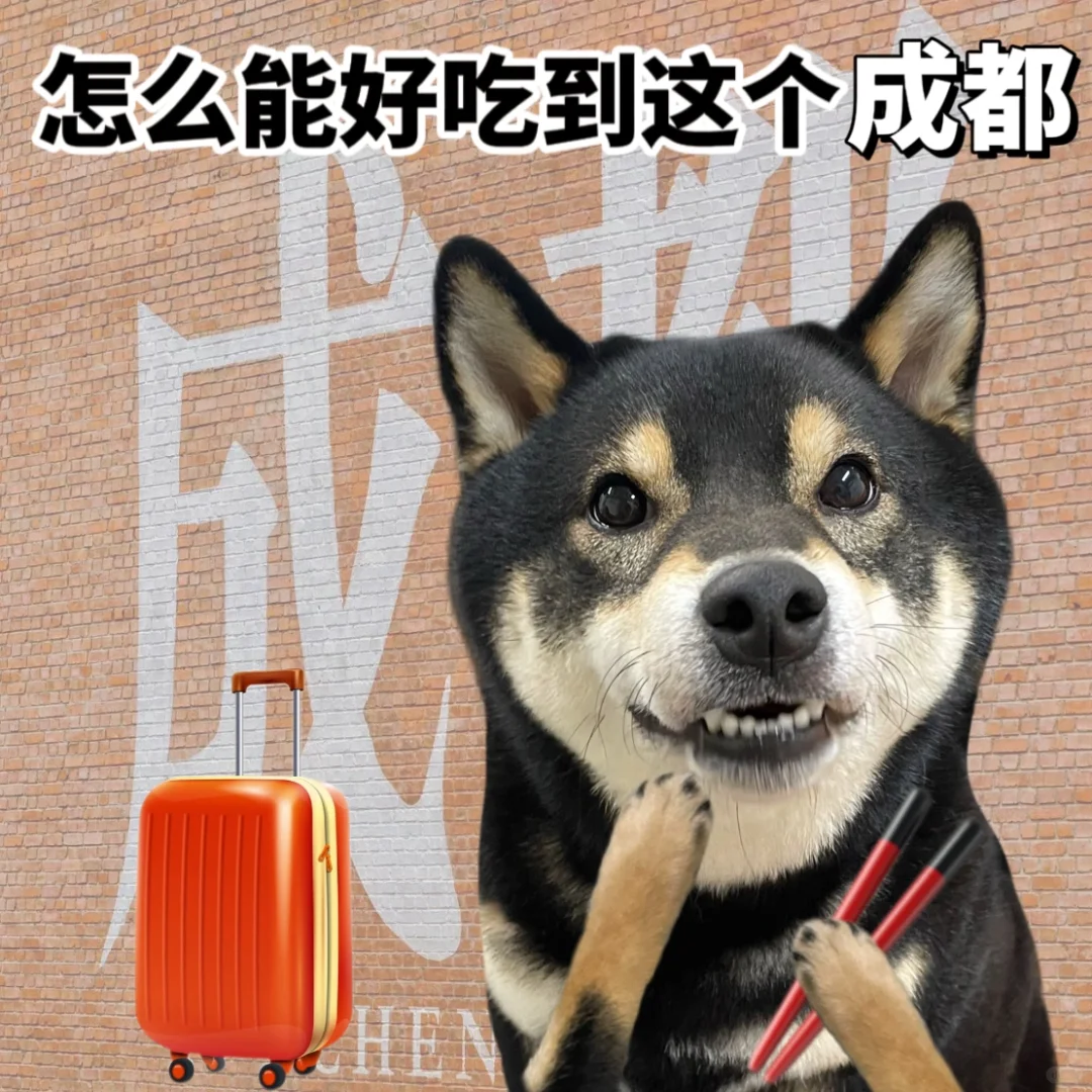 表情包|旅游谐音梗🧳