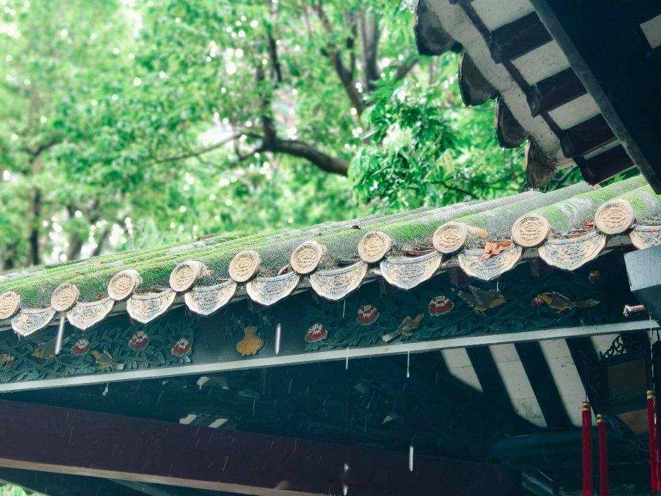 早安 雨丝垂落黛瓦，池水漾起薄雾，幽深回廊少人行，只剩雨声敲遍亭台。满园清晖浸在