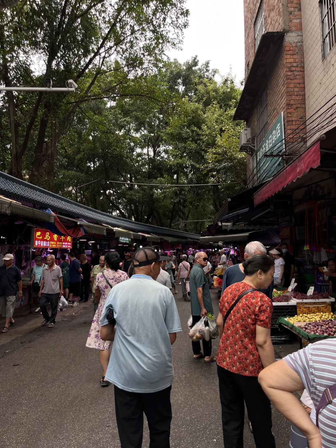 菜市是我们与一座城市的微小衔接