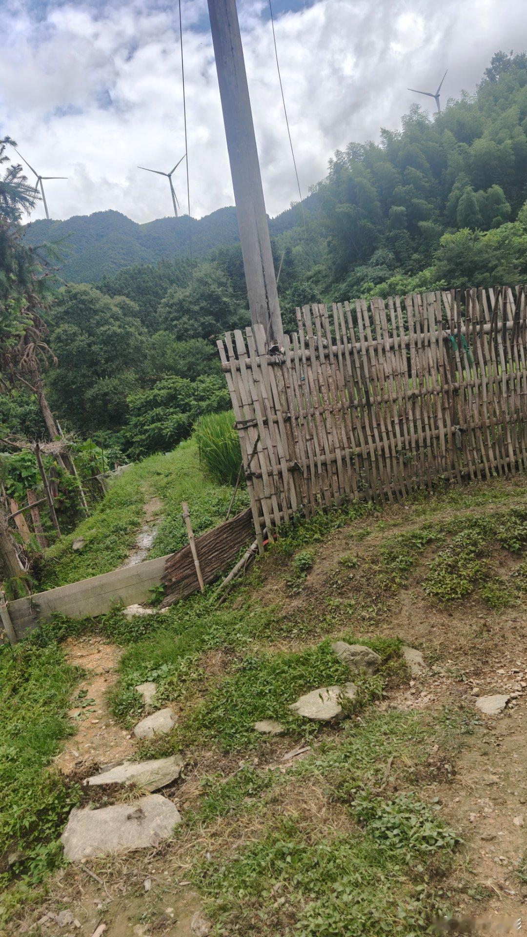 印度数十万人涌入活动发生踩踏回到大山里了，稻田青绿，群山环绕。告别城市的匆忙，日