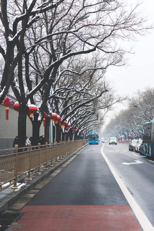北京下雪了｜一半浪漫，一半人间
 谁懂啊！北京一落雪，直接美回北平！
 推开窗的
