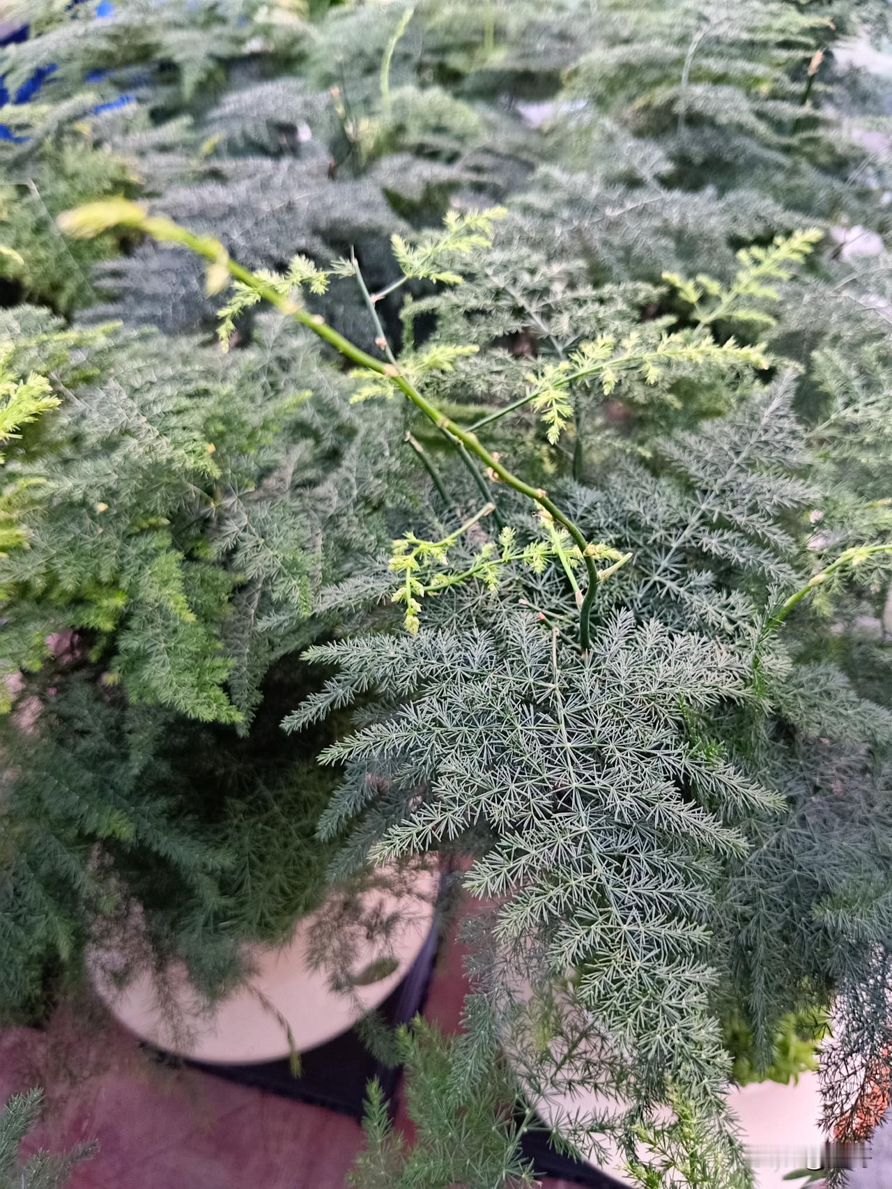 朋友女儿结婚我随礼200少吗?
看地域和交情，普通朋友，一般同事200不算少。