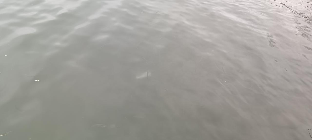 站桩如人
    站桩锻炼是一种运动方式，非常适合我们锻炼，我们选择了站桩锻炼，