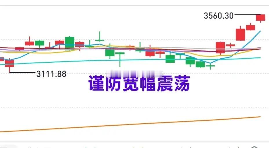 A股：市场连续上涨后，技术性调整压力增大，即将迎来较大幅度的震荡。创业板作为市场