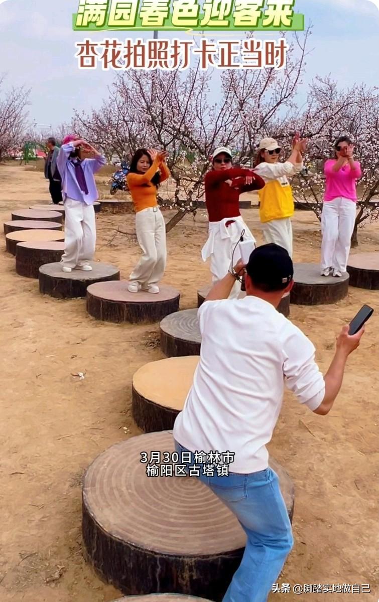 家人们！榆阳的春天终于来啦！🌸
古塔镇杏树岭的杏花，现在开得正烂漫！
漫山遍野