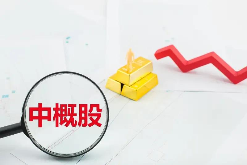 上周五收盘前，我的直觉是周末sh微电子借壳上市可能会有点消息了，结果星期五没有任