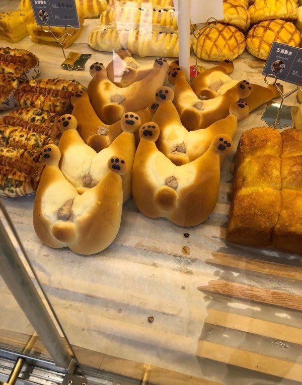 屁屁面包(₌♥ᆽ♥₌) 