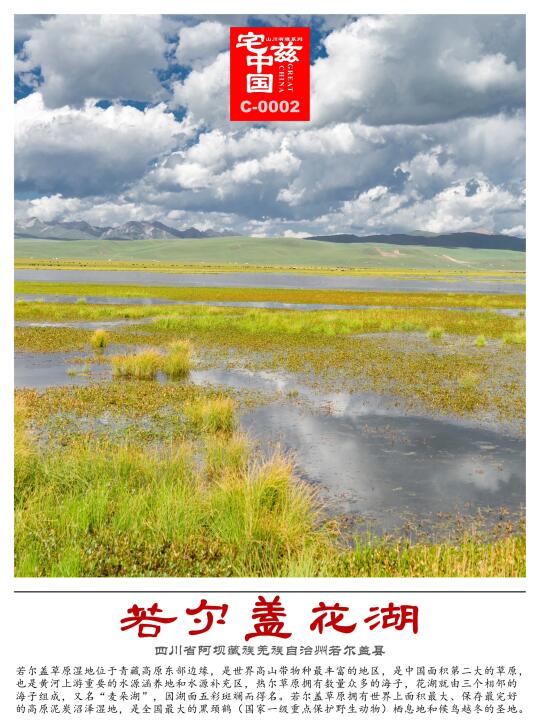 C0002若尔盖花湖，世界最大的泥炭沼泽湿地