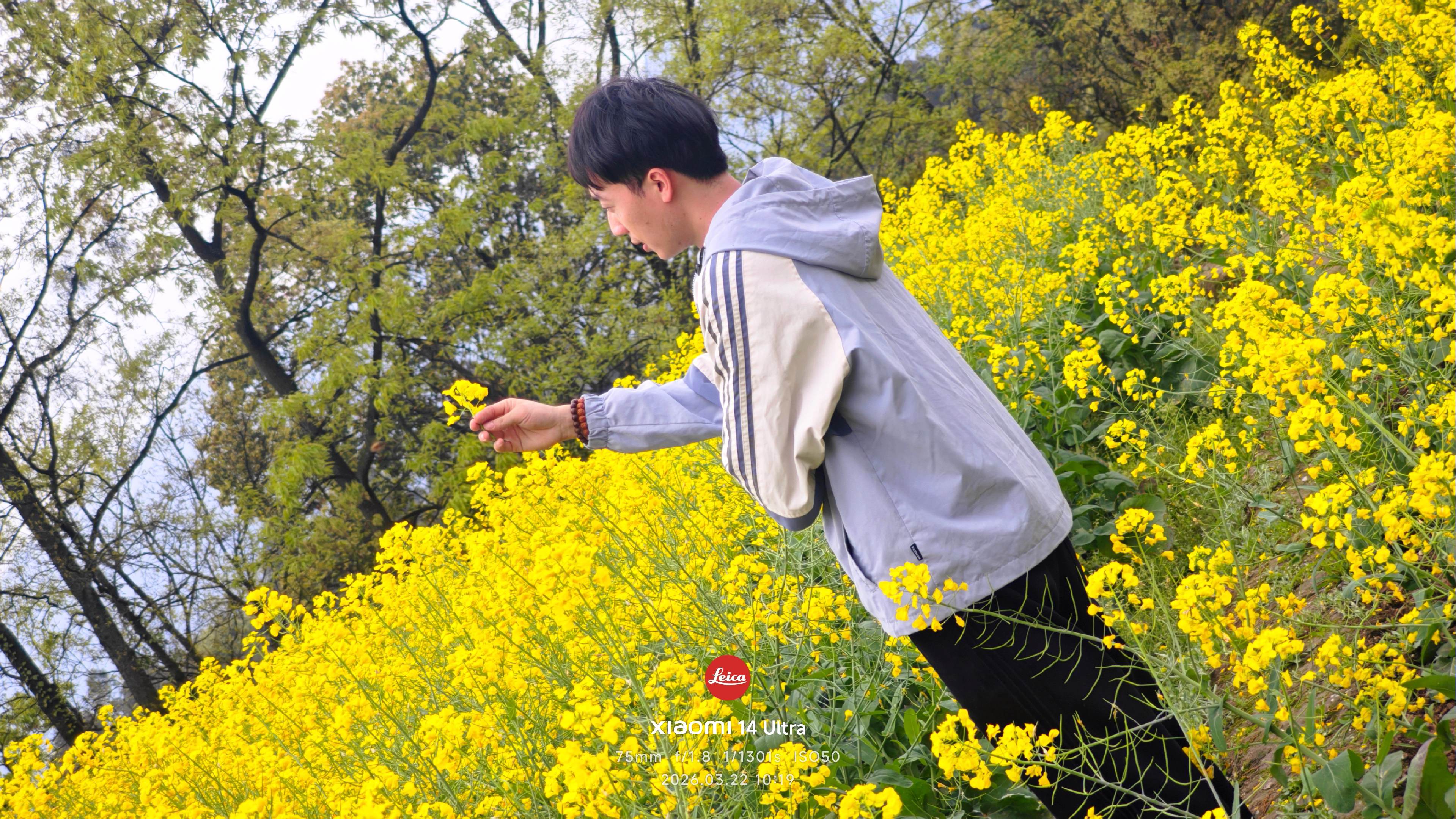 油菜花的花语:“你想要的，以后都会有”  📸谁不喜欢这满屏诗画之地