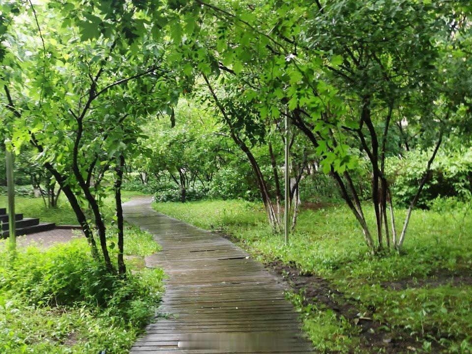 早安呀！今天妥妥是宅家的一天，窝在沙发里，听着窗外风声雨声交织成的“交响乐”，感