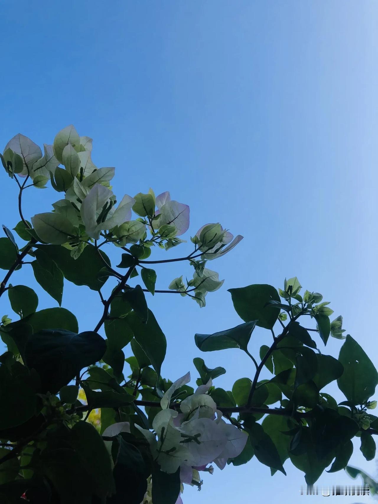 人生或许会有遗憾，然而未来仍旧可期。