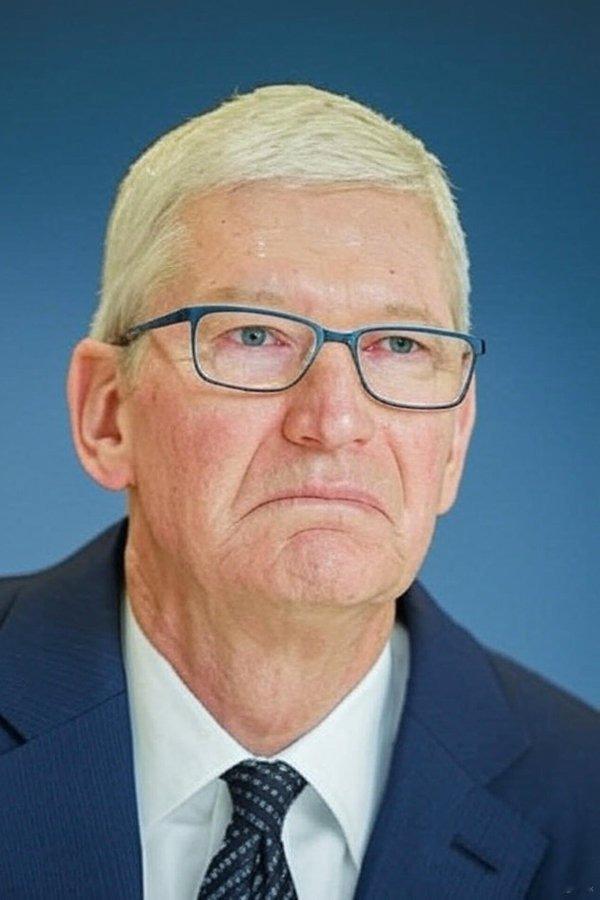 iPhone16系列中国市场销量掉队 HW和OVMI市场份额不断提高，这些用户都