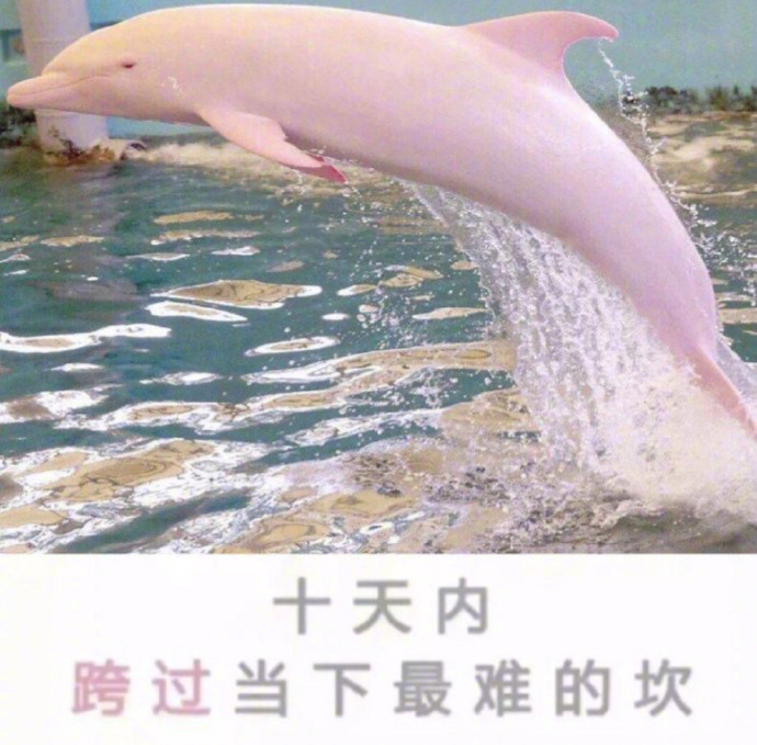 信，顺利跨过所有的坎