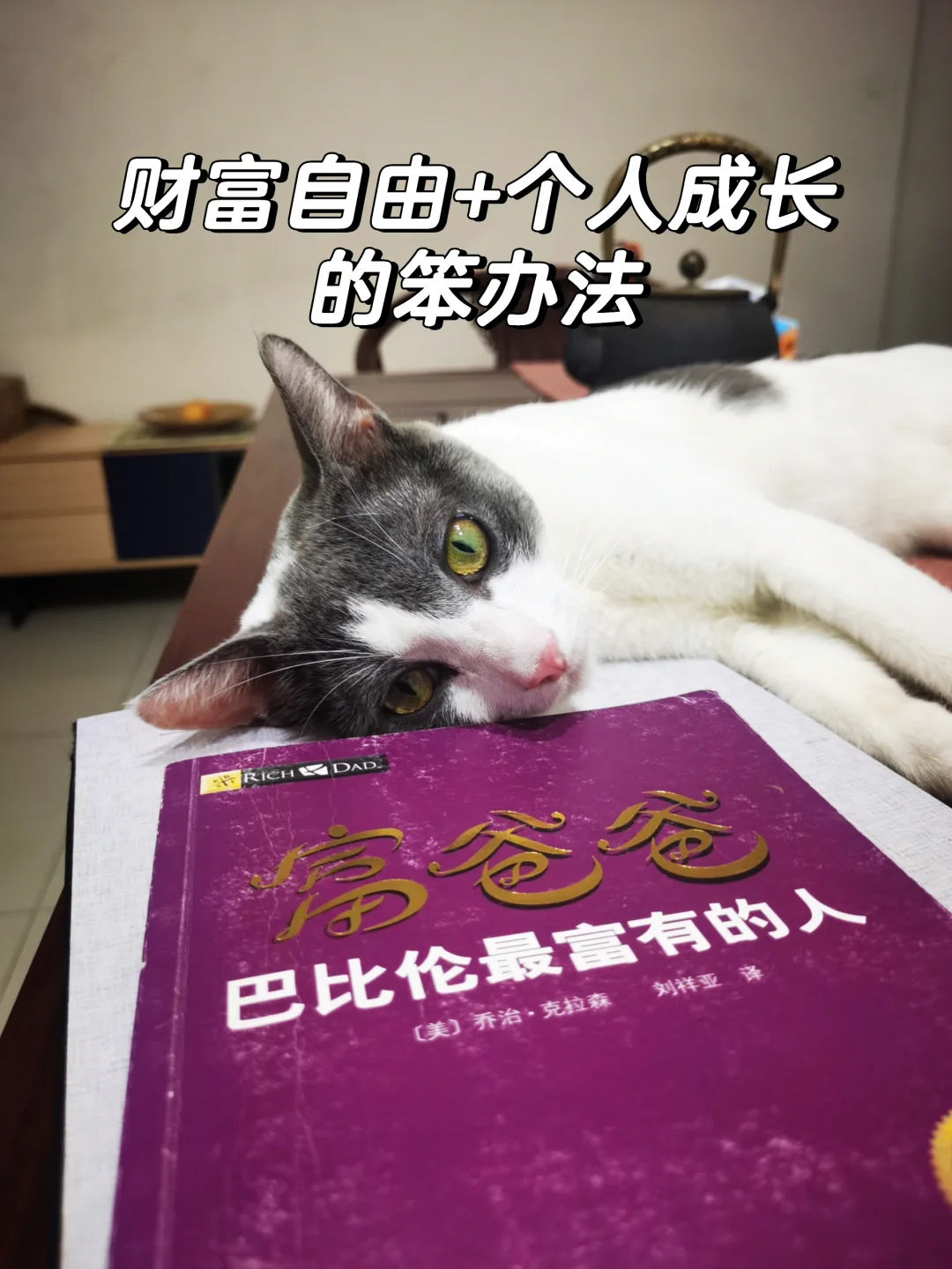 帮你搞定财富自由+个人成长的笨办法