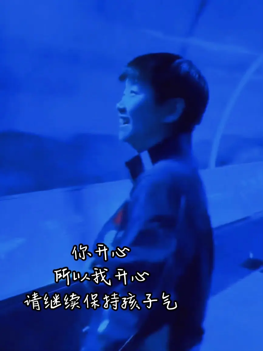 好喜欢这组图片。孙颖莎在看小鲨鱼，好像小孩子一样哦！