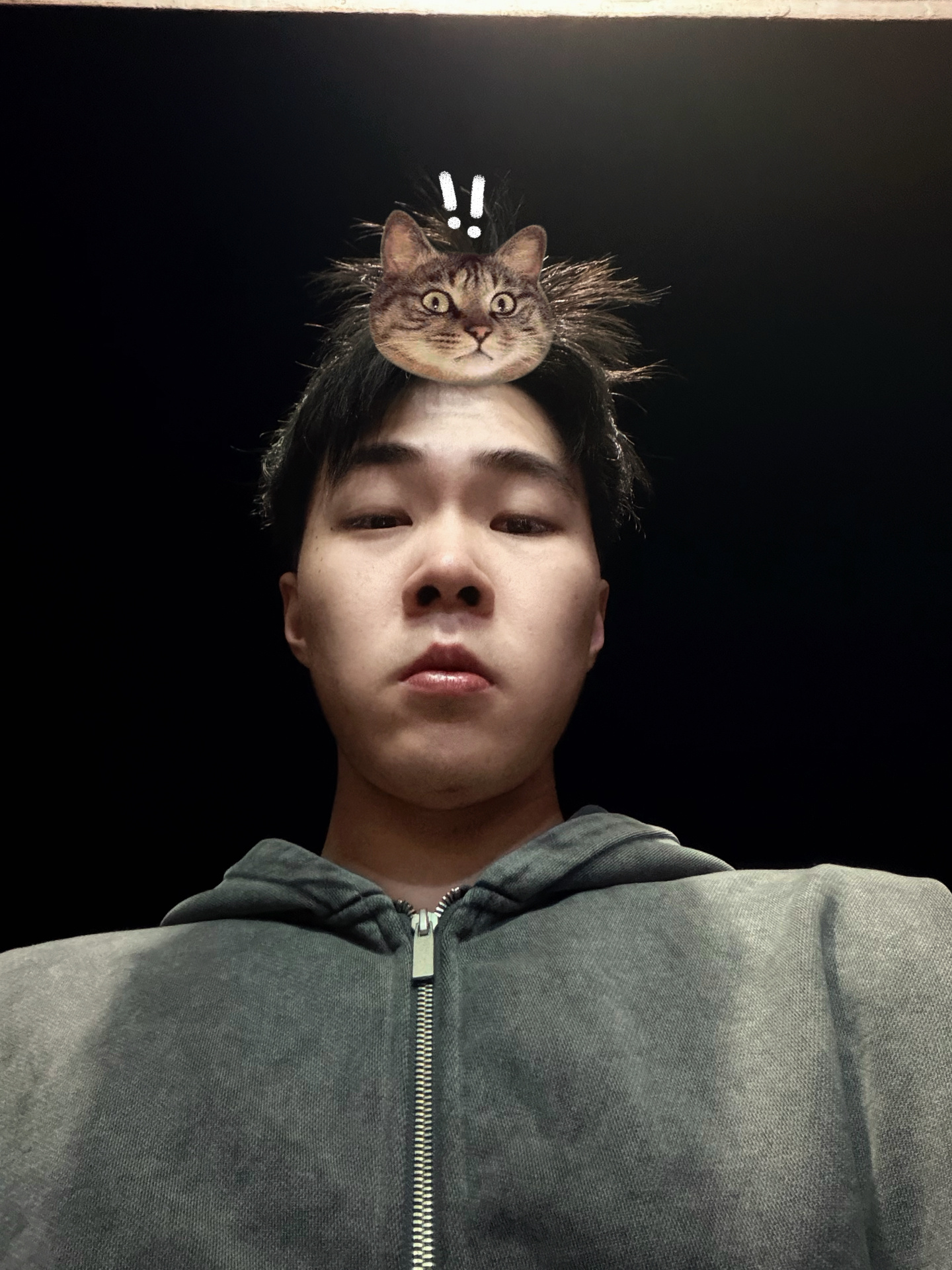 今天起得早顺毛来健个身，马上要开始出差了健身打卡