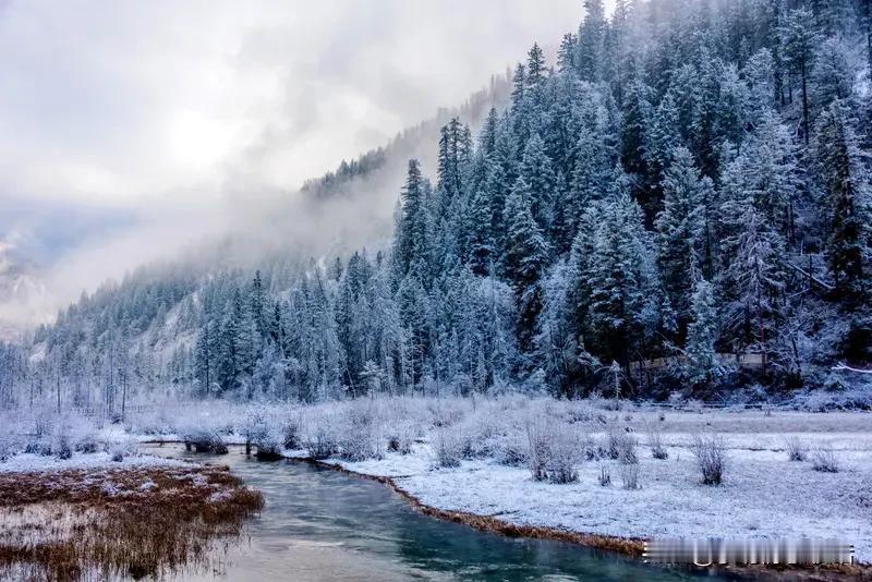 今年冬天的不同