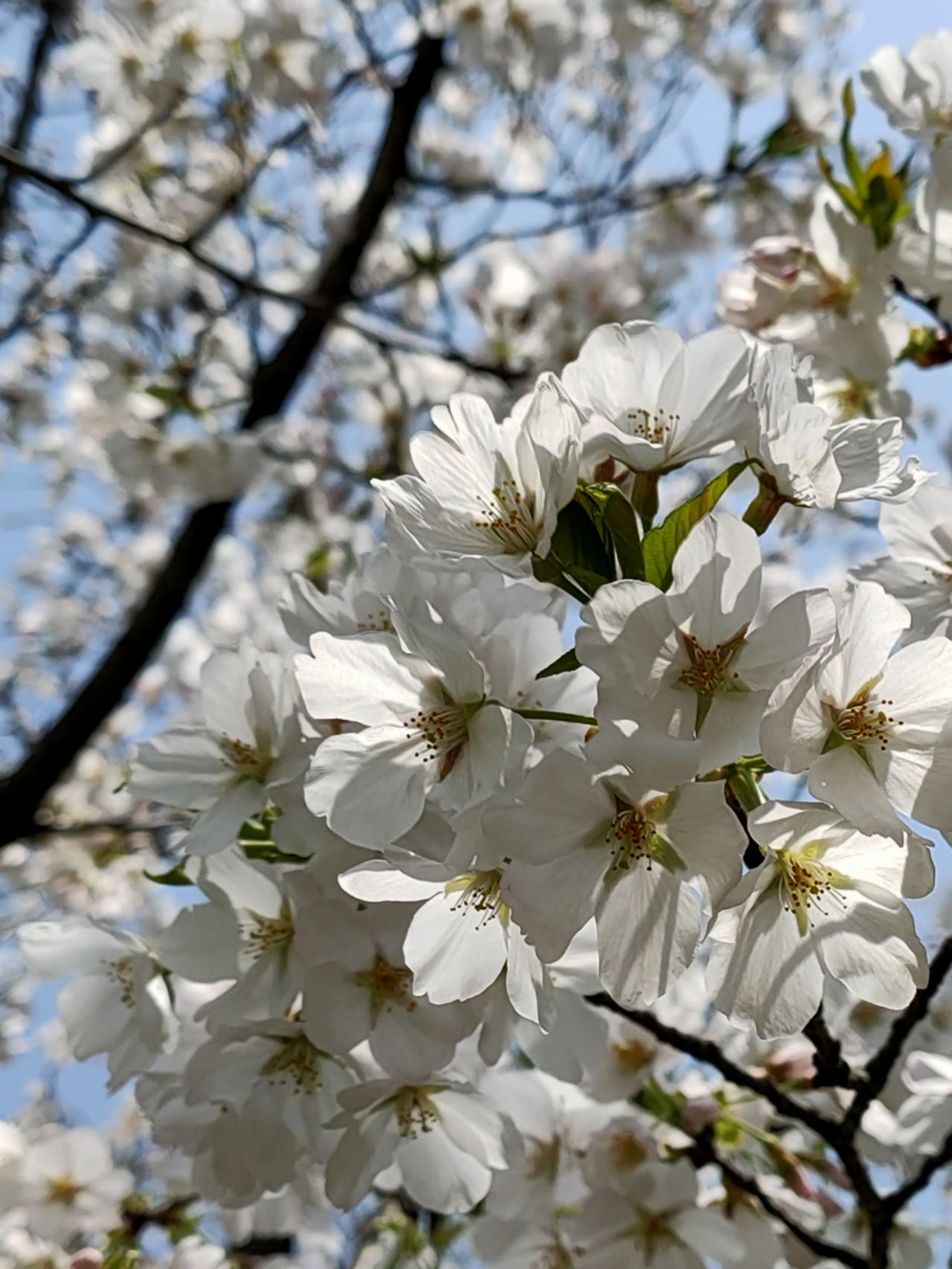 都说靠人不如靠己，不过在养老这件事情上，我想有孩子总归比没孩子的要强一些吧！
