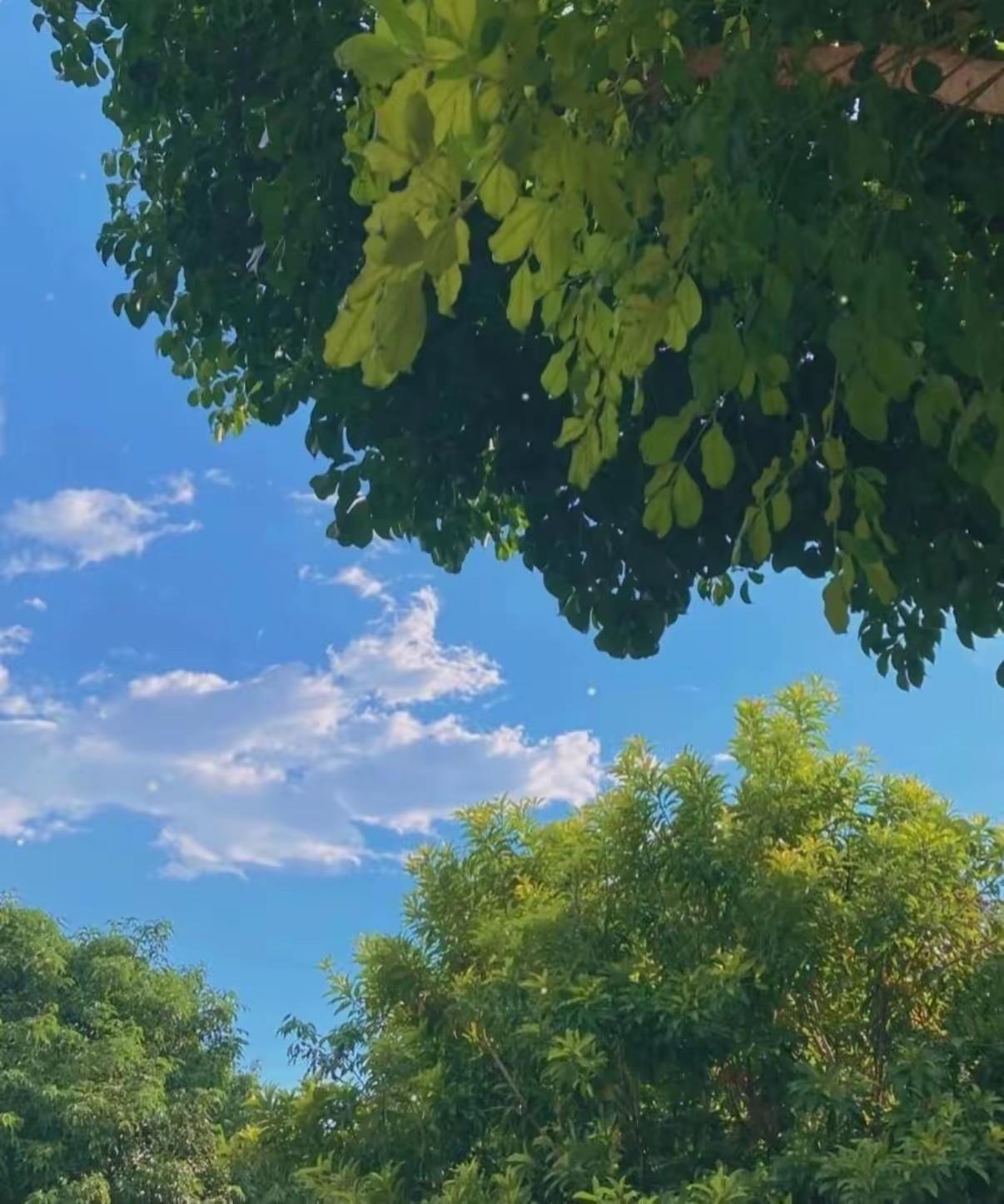 很现实的一段话：
“谁想控制你，谁就需要你。谁想拿捏你，谁就离不开你。你期待谁就