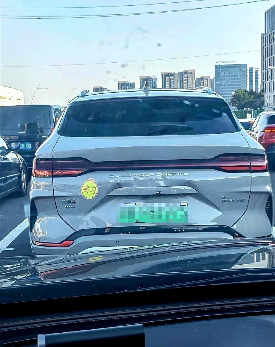我跟你们说，现在马路上最好认的车，不是什么百万豪车。
是那些带着伤疤的新能源车。