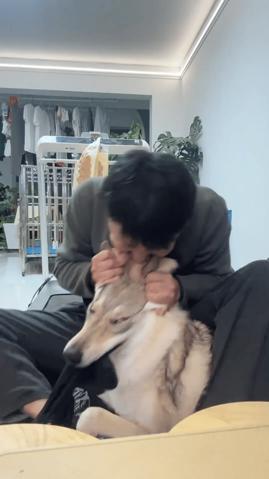 还真是势均力敌啊[good] ​​​