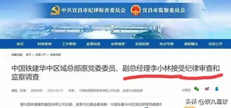 李小林被查！铁血军魂不容玷污一声惊雷，又一只"老虎"应声落马
华中基建圈突现"静