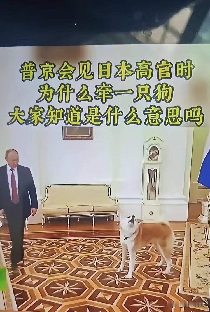 关注最近局势，有一个很大的疑惑:为啥日本害怕俄罗斯害怕美国，而不怕中国呢?希望得