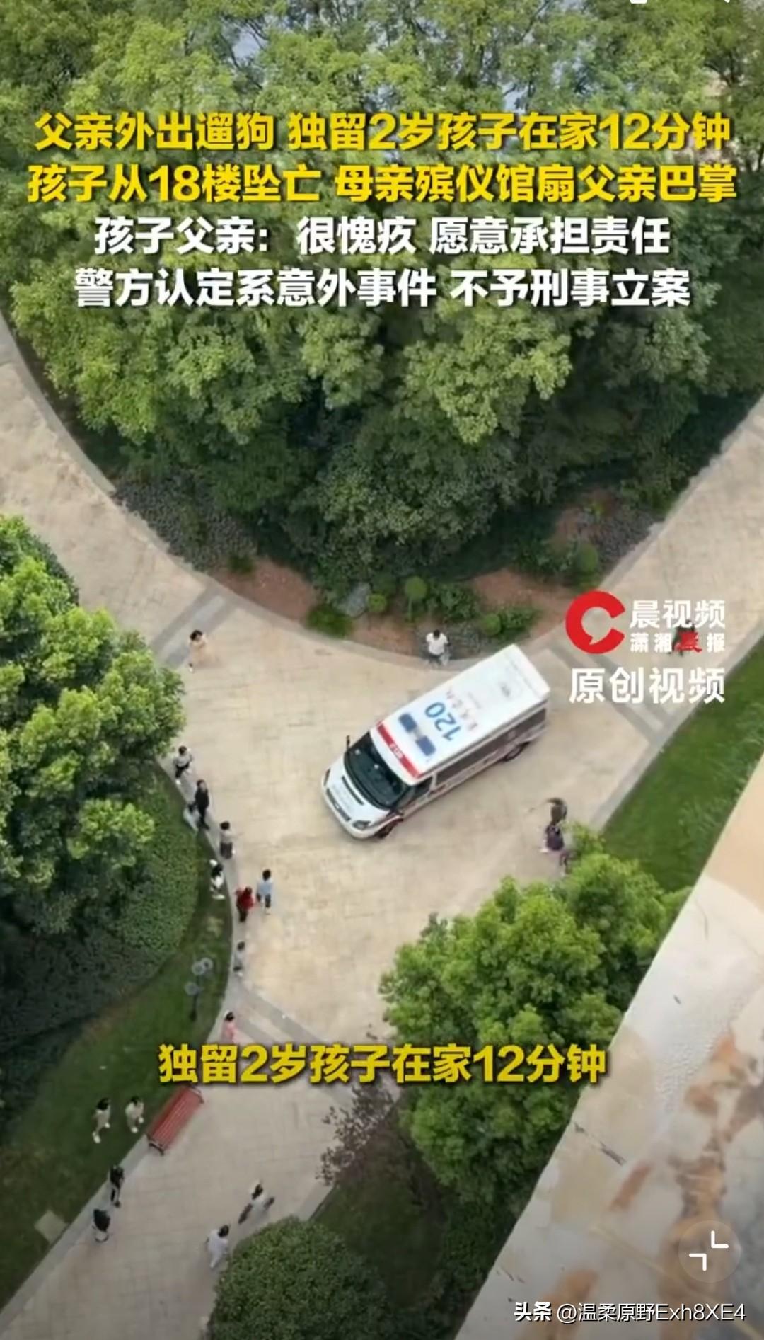 一家三口，妈妈去开会，爸爸为了遛狗，将2岁2个月的幼童独自留在家中。12分钟后，