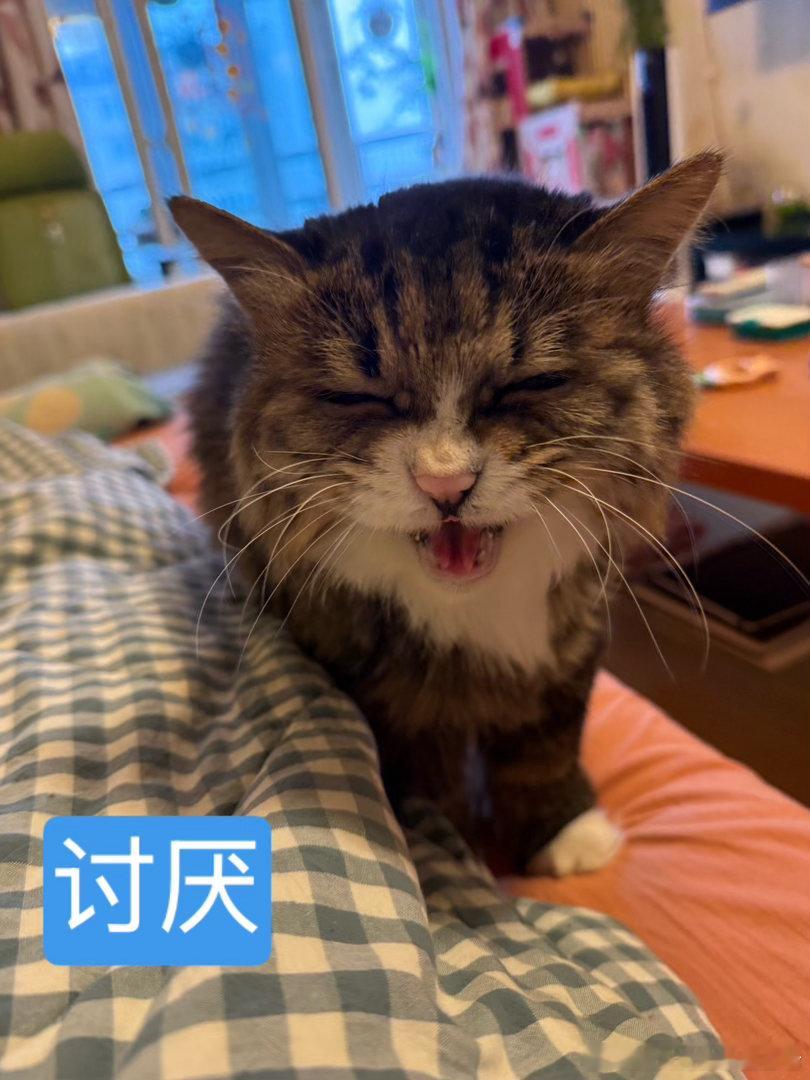 赵老师是真讨厌，动不动就用他那小短手比划成枪的样子击毙我