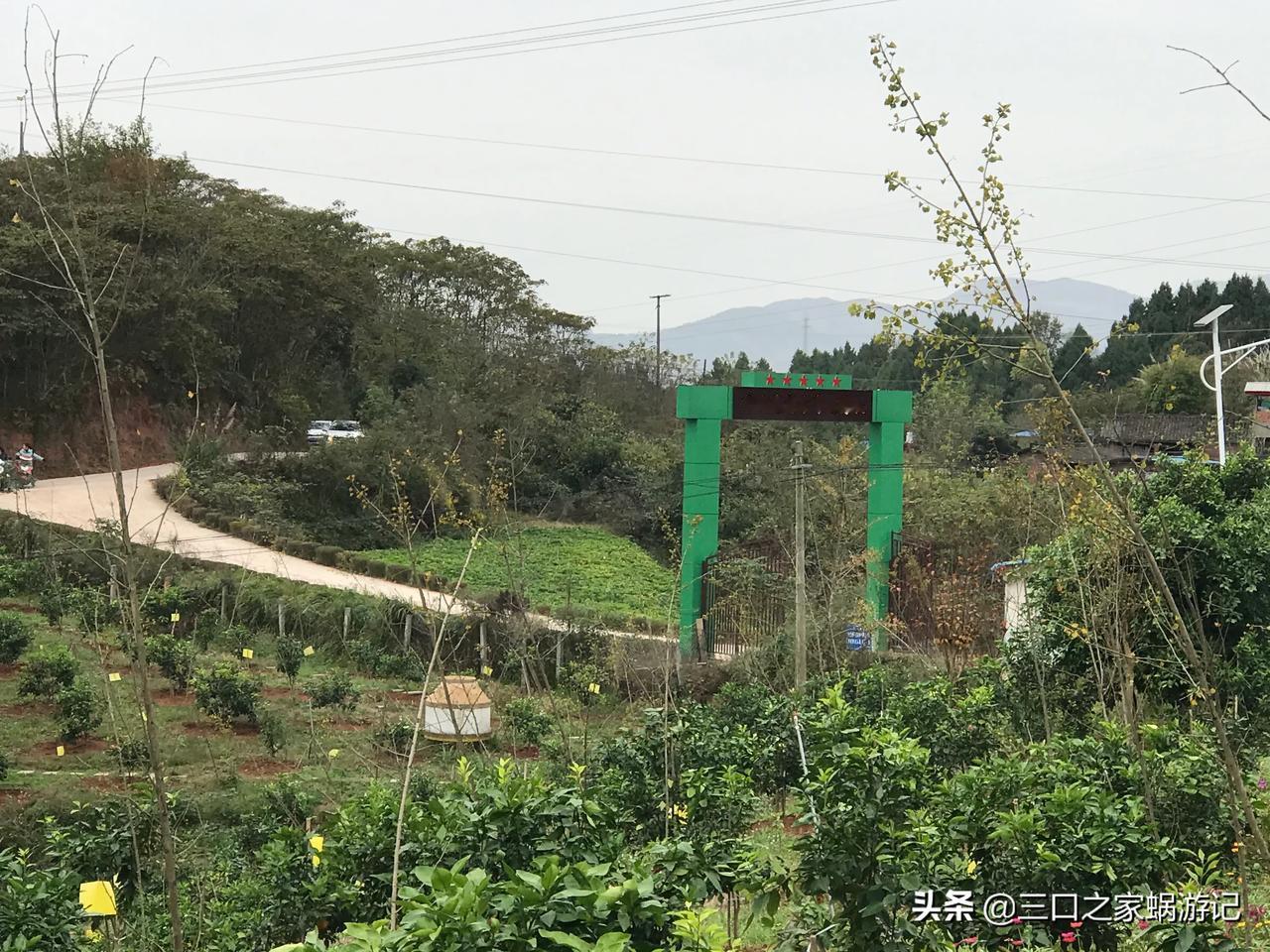 我们一家三口昨天从成都出发，抵达了简阳市贾家镇，在这里发现了一个奇特的现象，这里