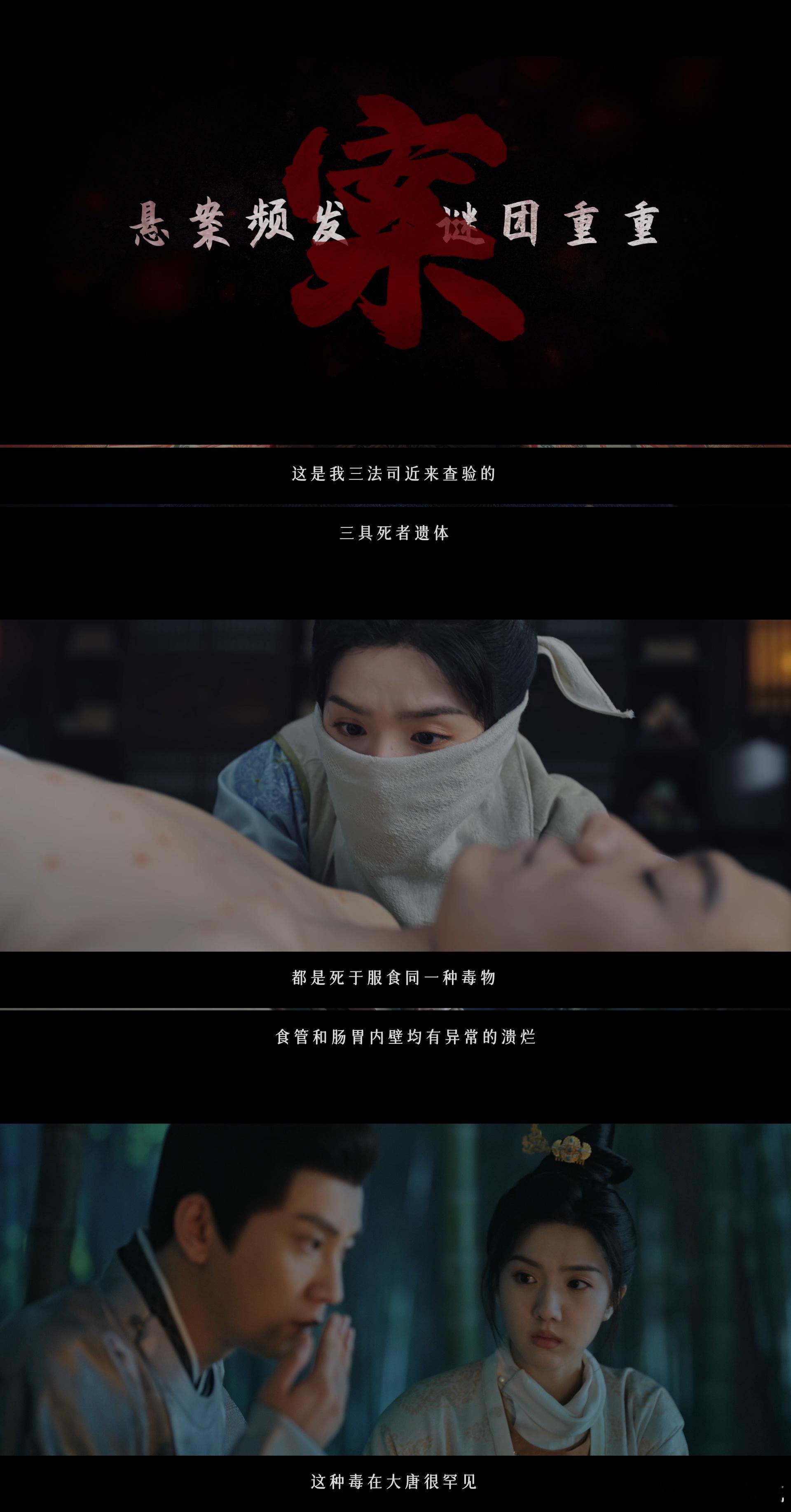 王子奇说小仵作2没有门槛追剧小白的福音！王子奇认证的零门槛追剧，小仵作2直接冲，