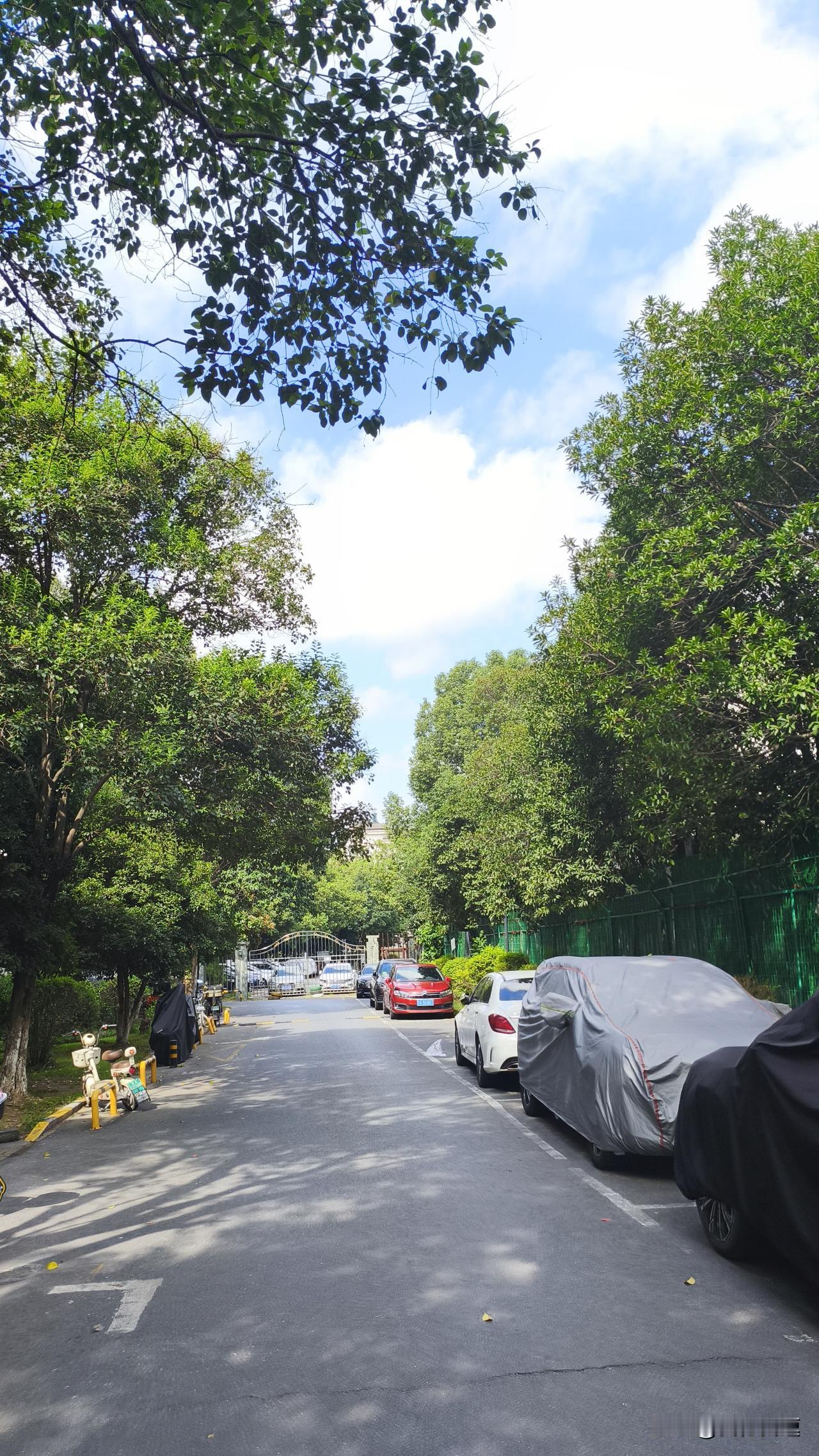 南京这天气，真像个捉摸不透的“任性鬼”。按说亚热带季风气候该四季各有千秋，可春秋