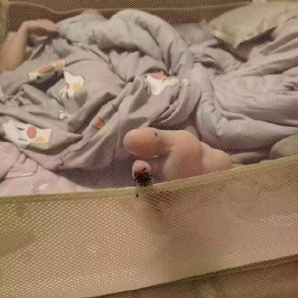 脚趾头切了吧