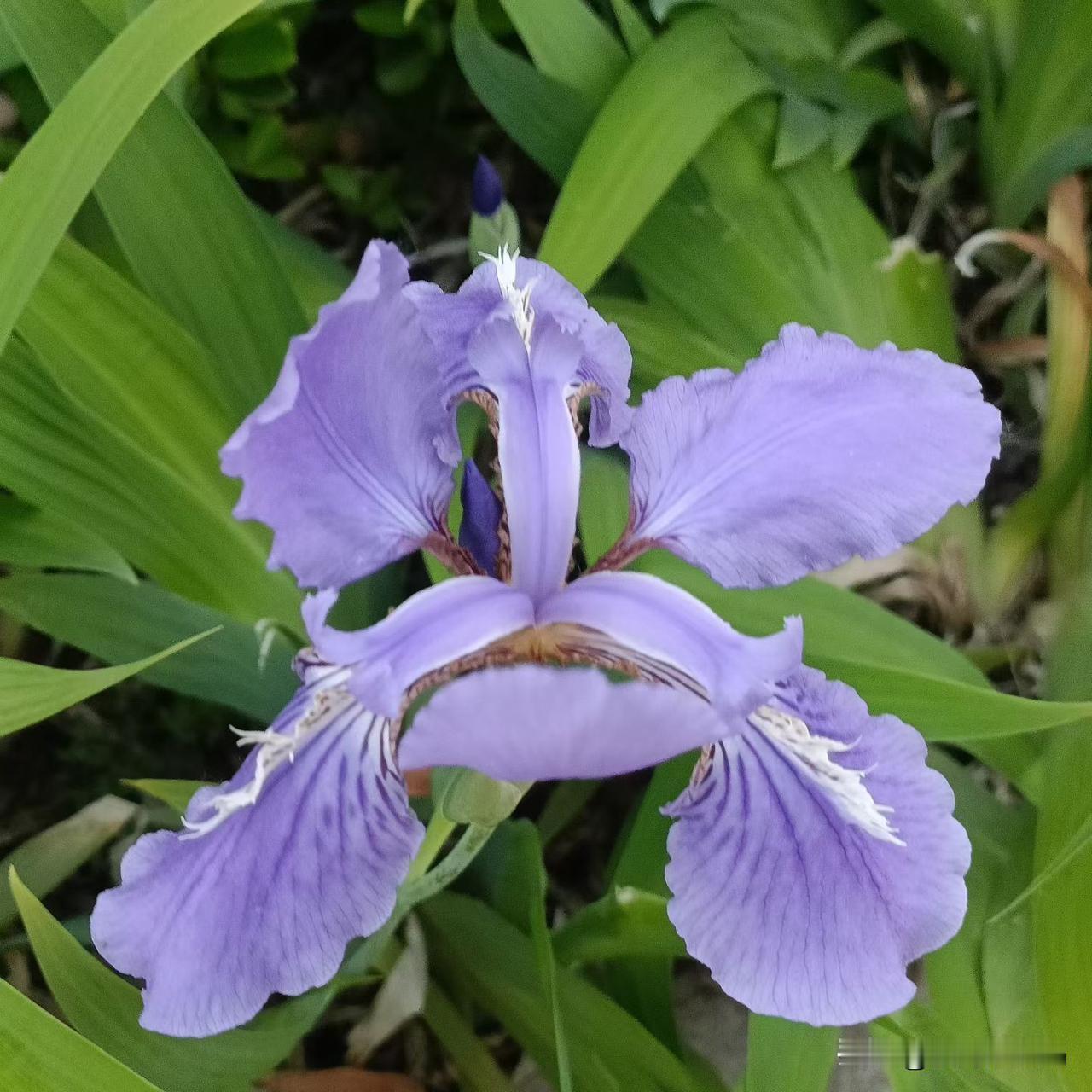 经历多了，心态真的就变了，很多事情都不再重要，只想沉默，看淡一切，不想多说，你随