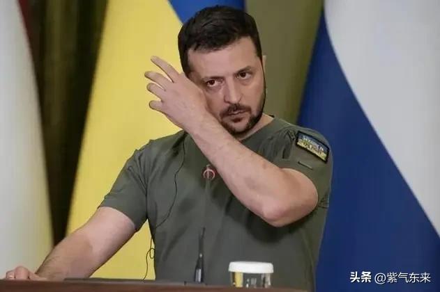 泽连斯基这次踢到铁板了

由于匈牙利和斯洛伐克的反对

导致欧盟峰会未能一致通过