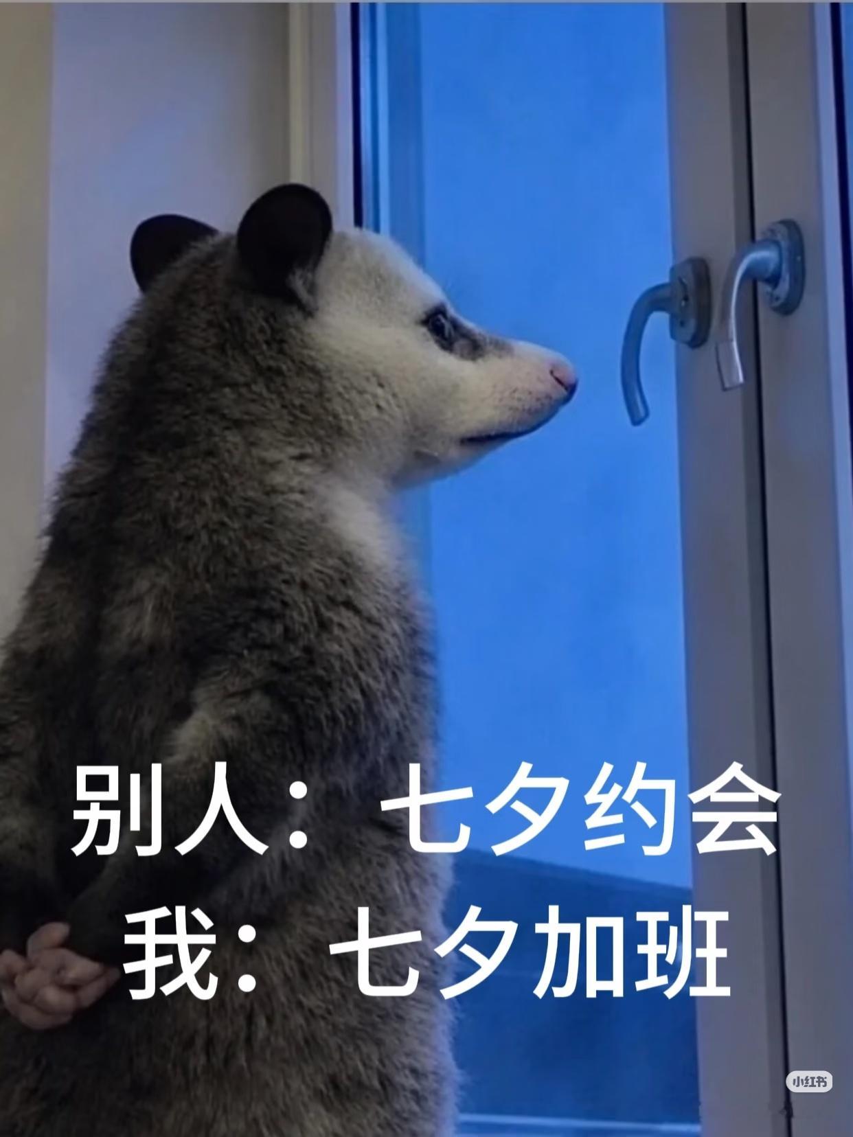 连续两天加班，我的道心已经破碎