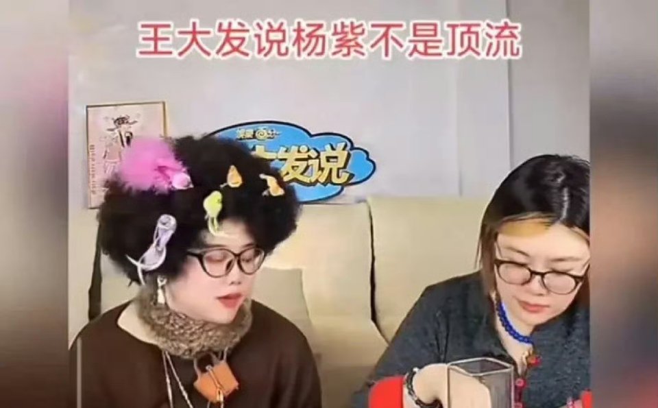 王大发说杨紫不是顶流，说粉丝数量不高，粉丝转化率不高，粉丝消费能力低。我想说她的