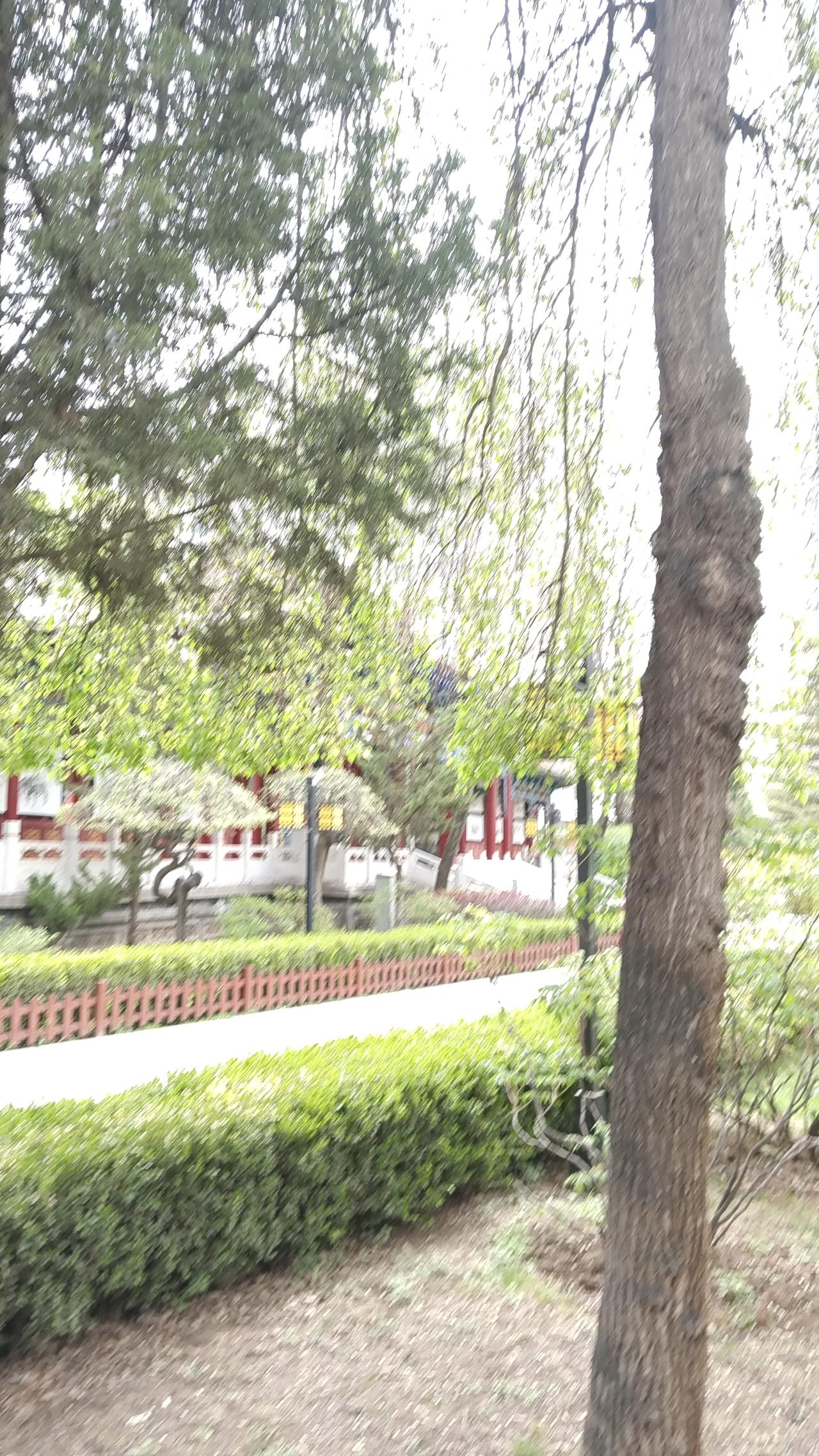 公园里绿树成荫，小道蜿蜒。阳光透过树叶的缝隙洒下，形成一片片斑驳的光影，仿佛给小