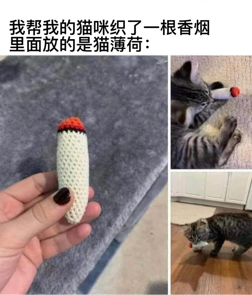 抽的是寂寞#今日memes# //#春日cityhappy计划# ​​​